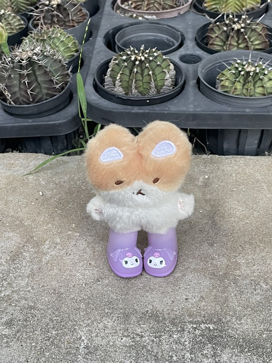 meowkyoong's tweet photo. คุโรเมะก้ดั้ย ;-; https://t.co/ZD9d6Rt3yw