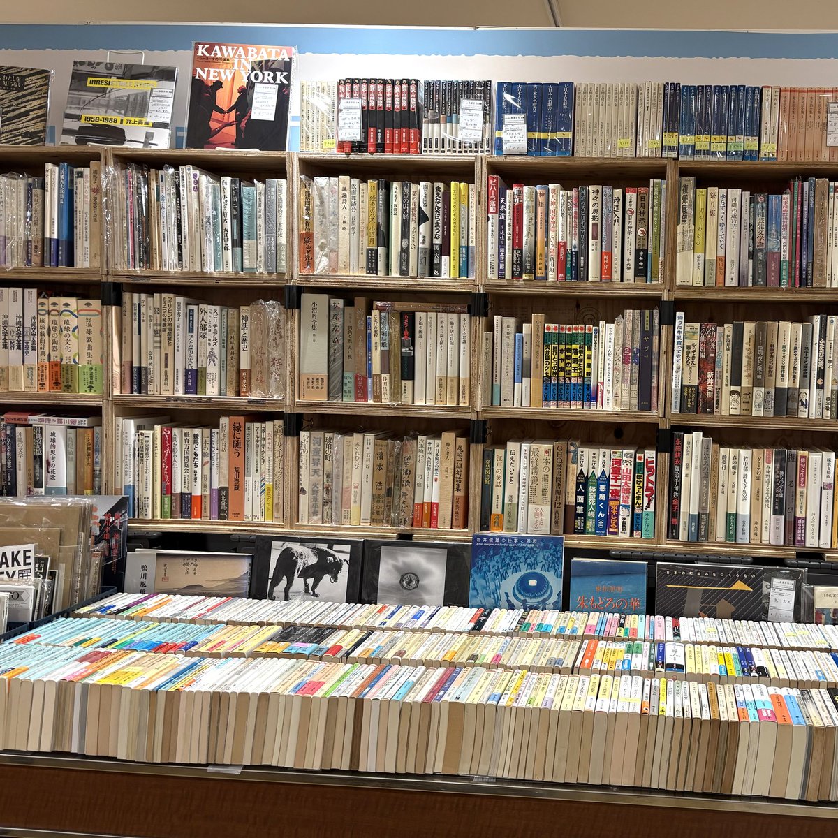 amakawa_bunko's tweet photo. 9月2日～9月7日
「こうべの古書ノ市｣
神戸阪急 本館9階 催場にて、明日9/2 10:00よりスタートします🐢🐢💨

あまかわ文庫、設営完了しました😤

面白い棚になっていると思います。
ぜひ、見に来てください😎🤟 https://t.co/5atcjkAuWf