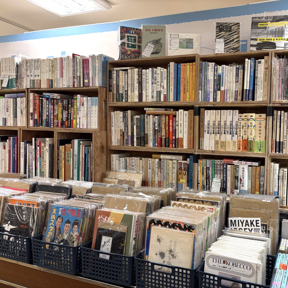 amakawa_bunko's tweet photo. 9月2日～9月7日
「こうべの古書ノ市｣
神戸阪急 本館9階 催場にて、明日9/2 10:00よりスタートします🐢🐢💨

あまかわ文庫、設営完了しました😤

面白い棚になっていると思います。
ぜひ、見に来てください😎🤟 https://t.co/5atcjkAuWf