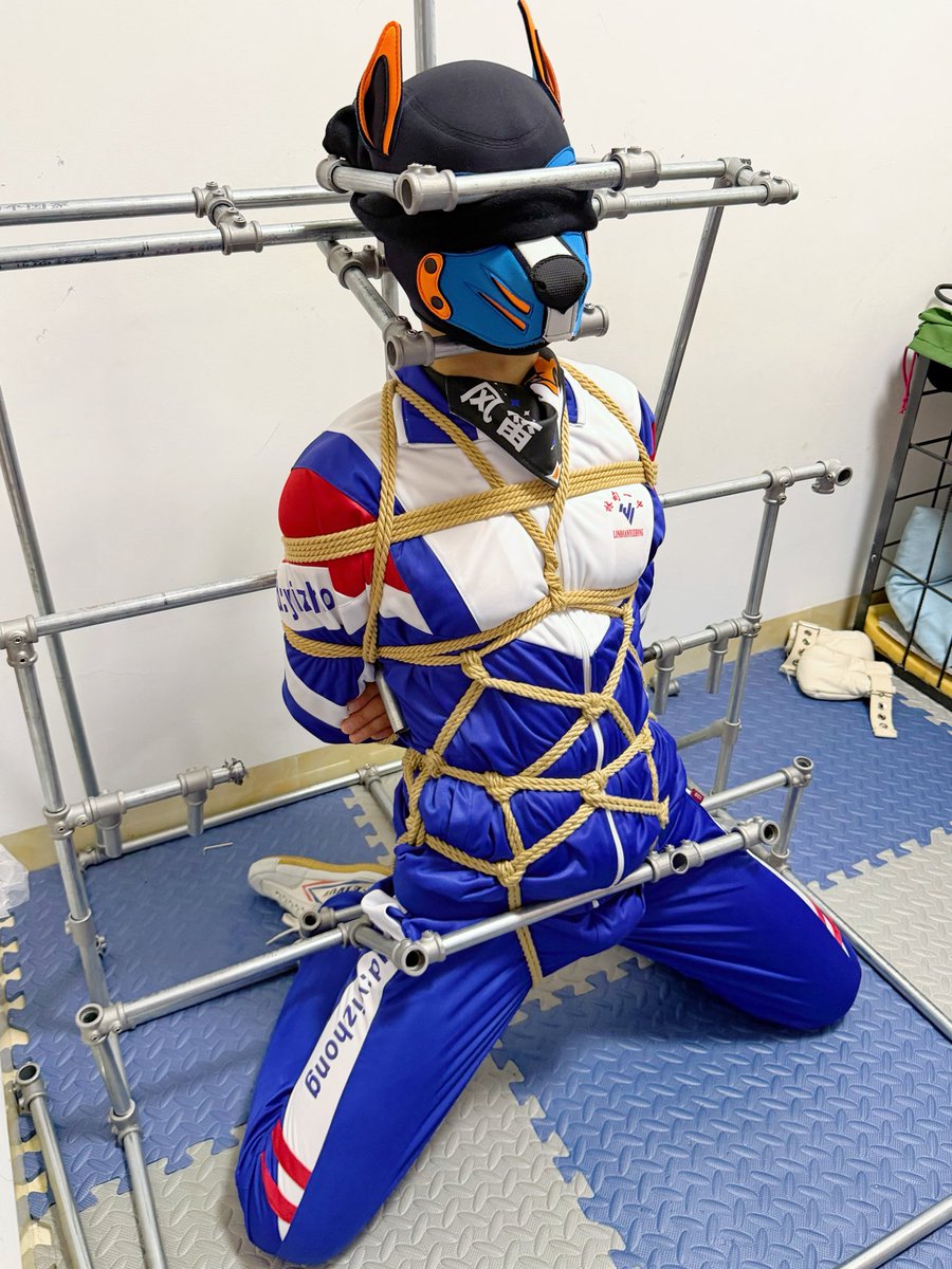 Pupfengdi's tweet photo. 被哥哥绑起来固定在架子上欺负了😞😞

在哥哥家时间好快，感觉还没玩什么就跑掉了，但是身体已经空空惹🥵🥵

唔，还是好想睡狗笼🫠🫠怎么办

坏蛋哥哥魔鬼恶魔😈@10011sms https://t.co/yr8zXyJqvc