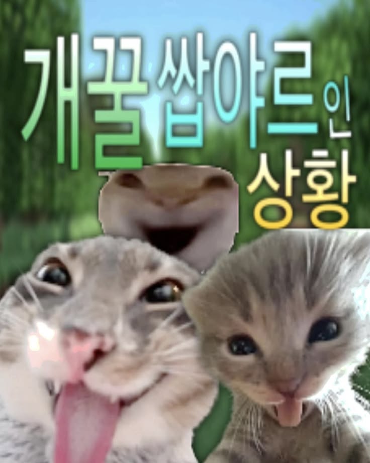 het_cha_'s tweet photo. @nesol_ 와저지금너무야르한데...?
제가1빠로읽을게요... https://t.co/tdqr3y5BJK