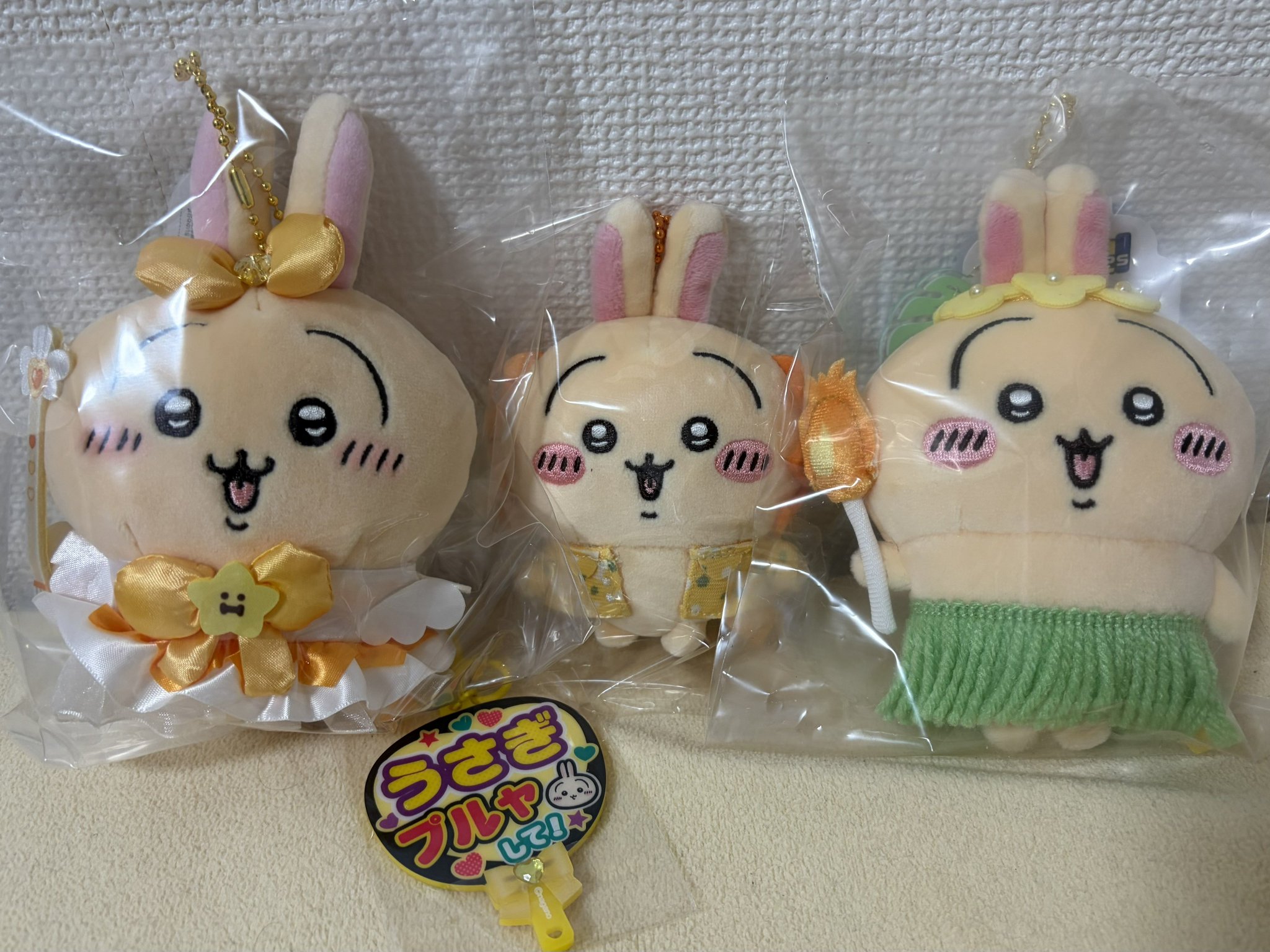 🄲🄷²¹ в X: „ついにうさぎを手に入れた、、！！ 可愛い！“ / X