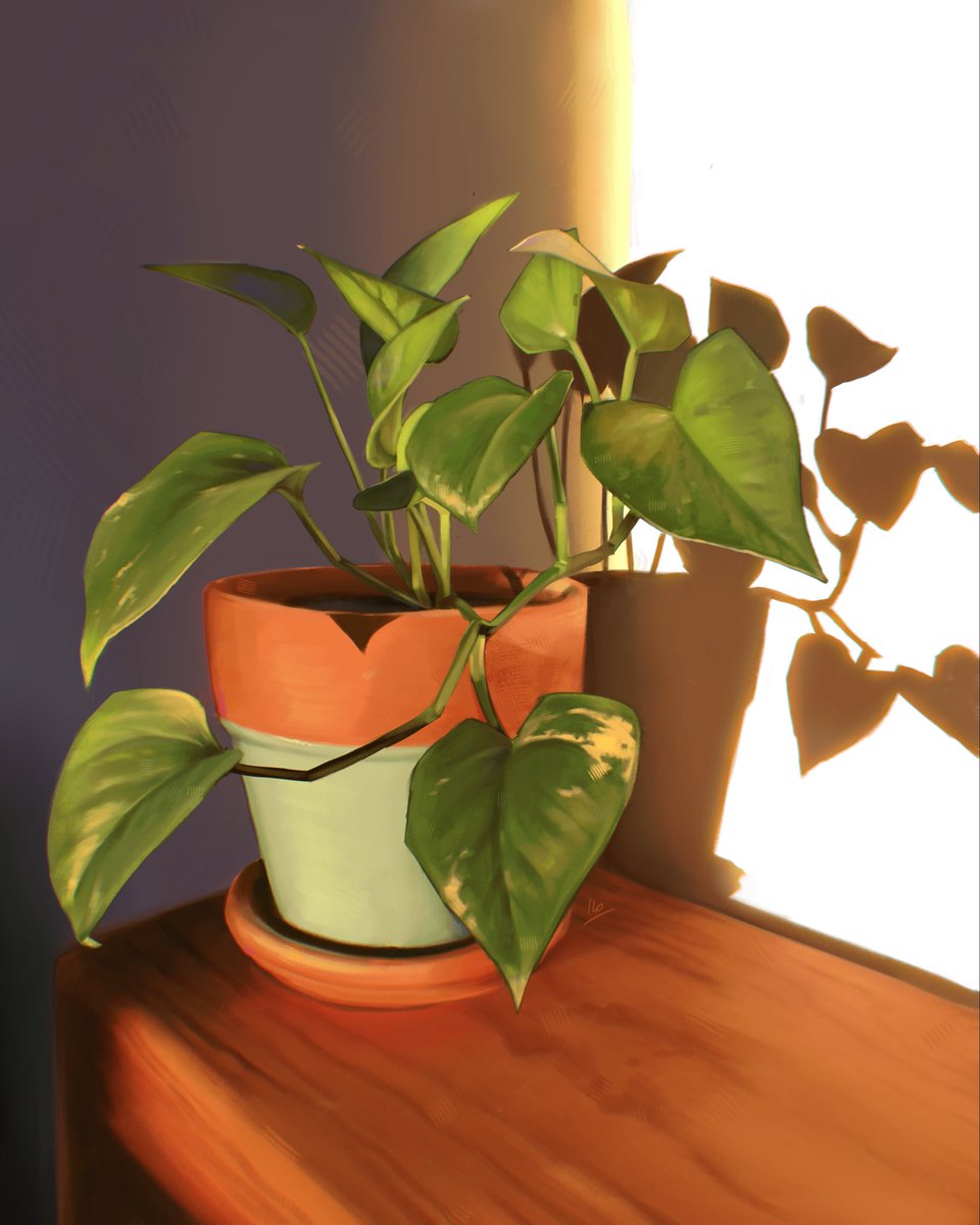 Ilo_k0's tweet photo. Study of a pothos. Absolutely no relation to any bloodymary fic. https://t.co/tGOiQXC63X