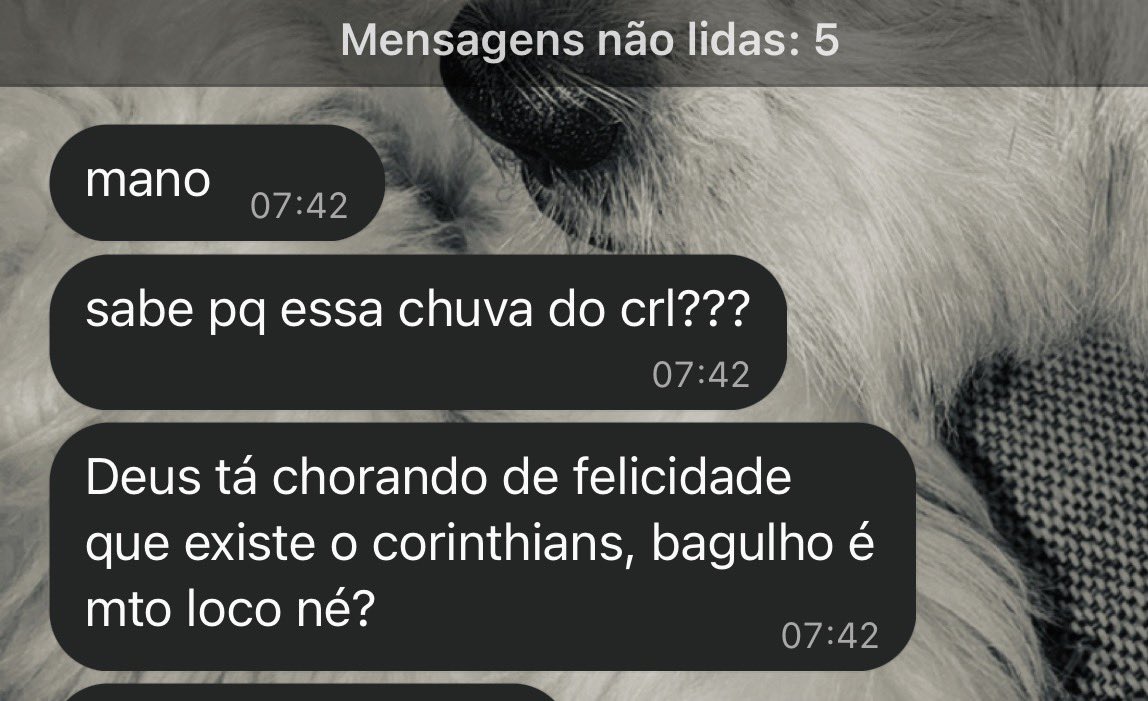 oldxnielle's tweet photo. bom dia corinthians paulista https://t.co/xCpNDdr5u8
