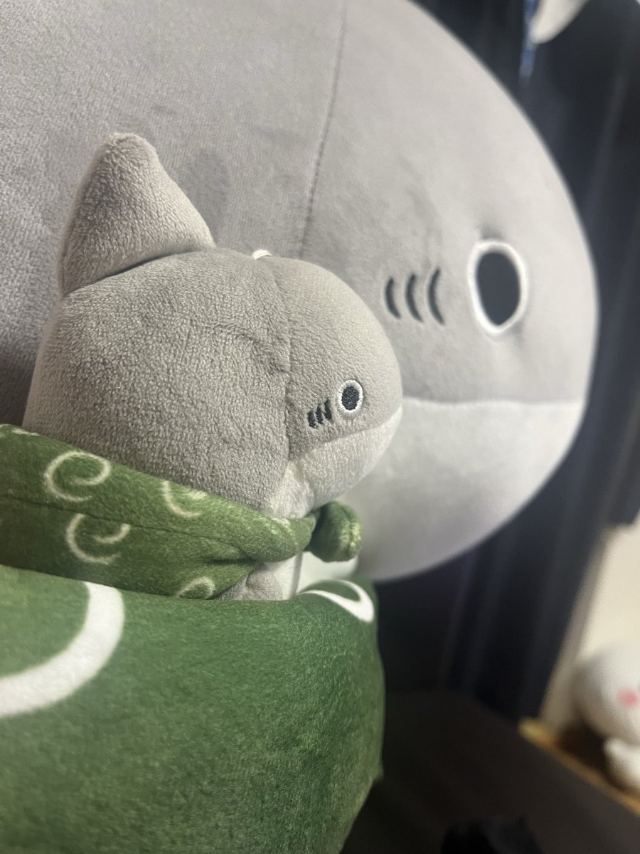 FvvM5's tweet photo. コバンザメ
冬のおでかけの子ザメ大阪展行きたいなぁ

#おでかけ子ザメ https://t.co/dY5IHL24hS