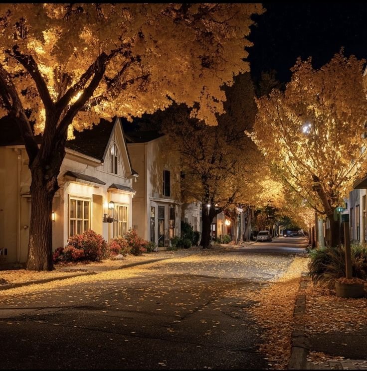 NaturalWorld515's tweet photo. autumn evening walks 🍂 🍁🍂🍂 https://t.co/otN1ZogFBv