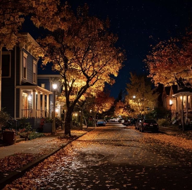 NaturalWorld515's tweet photo. autumn evening walks 🍂 🍁🍂🍂 https://t.co/otN1ZogFBv