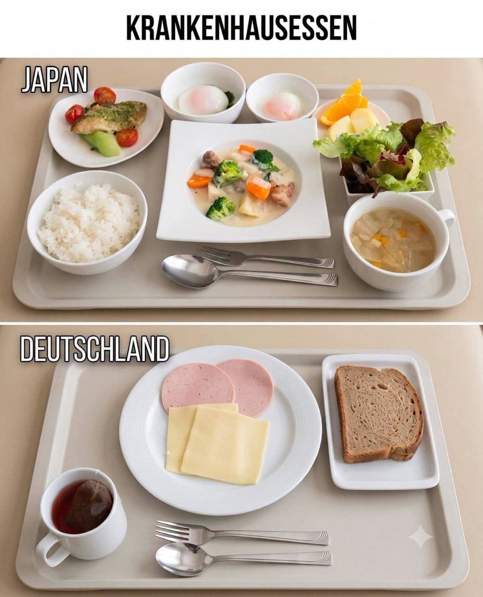 LettllMaxi's tweet photo. Meine Frage: 
Jeder Flüchtling oder sogar Häftling würde bei dem Fraß revoltieren! Die kriegen auf Wunsch vegan oder Halal.
Wenn jeder 2-3´€/Tag zuzahlen würde, gäbs Essen statt dem Dreck! Aber Kranke kriegen ja nur mehr Fabriksfutter..KüchenEssen wären ja zu teuer. https://t.co/IbpyS50QFc