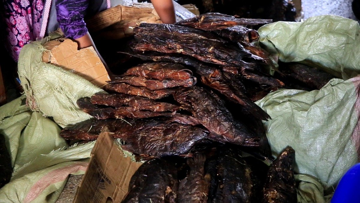 KingdomTVUganda's tweet photo. The @cdfupdf  155 Marine Battalion has seized tons of immature fish in a crackdown on illegal fishing and fish trade in Wakiso markets.

The intelligence led operation targeted fishers, transporters and traders dealing in illegal fish from Lake Victoria. Some traders were also found operating without valid MAAIF licences.

Capt. Muzamiru Gimogoyi warned that illegal fishing and the sale of immature fish threaten efforts to restore Lake Victoria’s fish stocks.

Authorities have urged fishers and traders to comply with fisheries regulations to protect Uganda’s fisheries and livelihoods.
#KTVNews