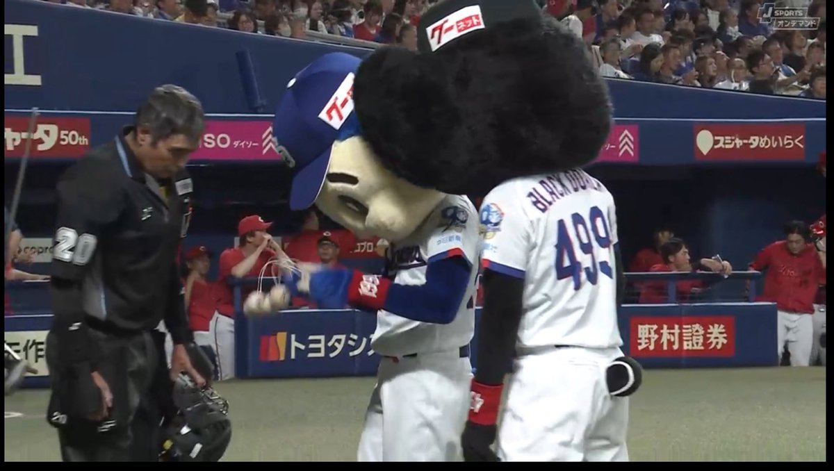 Sasuncarp2's tweet photo. 白井さんも気になる
#ドアラ https://t.co/1wsVcRhGaZ