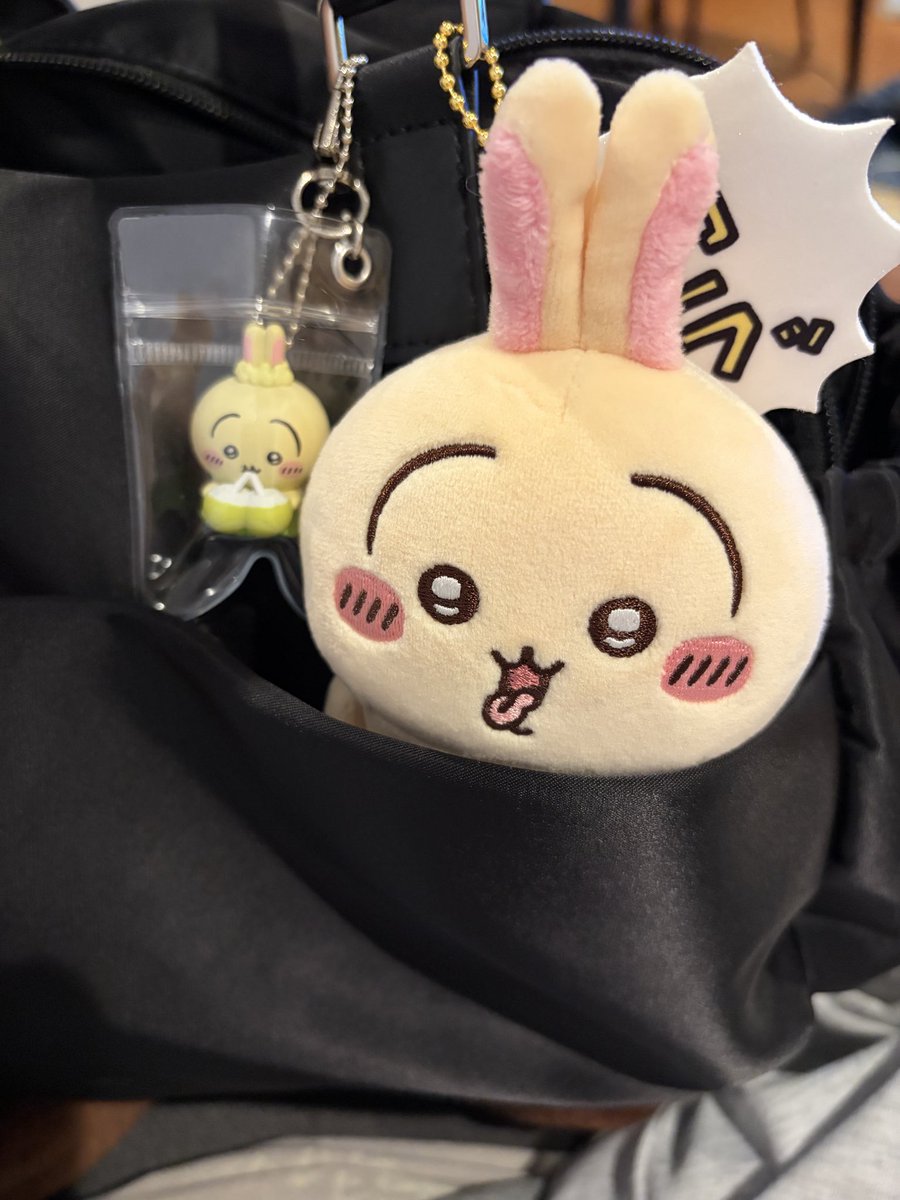 avocado22v's tweet photo. かわいすぎるー！！！
クラブとボーチェーン付けじゃ！ https://t.co/36QvEj93D9