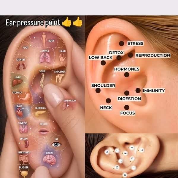 rukalways's tweet photo. RUKAISM is real! ruka going viral again for her ear seeds just proves her health and wellness knowledge is top-tier. she really is the blueprint for the ultimate beauty and wellness hacks in k-pop 👑💖 https://t.co/H6e8p6P1Uz
