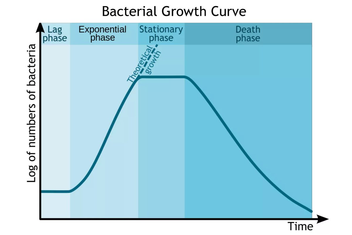 Sierkovitz's tweet photo. Thoughts about growth today. And I know a lot about that - I am a microbiologist in the end. I have seen it 100s of times. The humble beginnings, the dynamic growth, that feeling of nothing can go wrong, stagnation and then the inevitable death phase of bacterial culture.

1/ https://t.co/ebwsguNYEQ