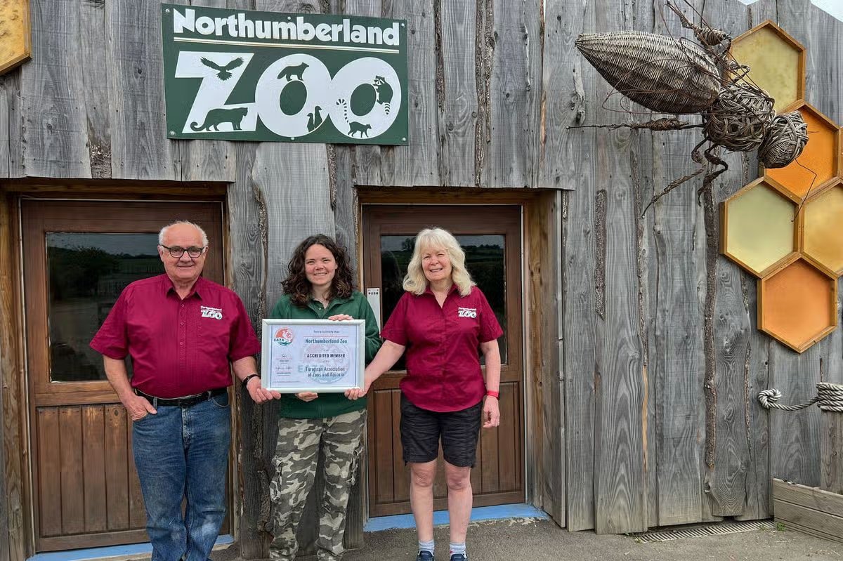 ChronicleLive's tweet photo. Family-run Northumberland Zoo celebrates new chapter with exciting opportunities for future species
https://t.co/IcDqlkp5V6 https://t.co/5LncpqshjG
