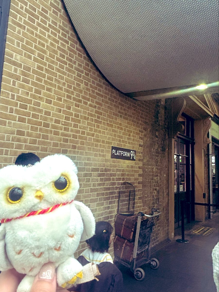 MoPokopea's tweet photo. 念願のキングスクロス駅も行けた！🚂🦉
フォトスポットは混みすぎだったので横から😂ハリポタショップのグッズも内装も最高に可愛い〜！
本当のロケ地は4と5番線の間らしいのでこちらも📸 https://t.co/BQKUddGo3l