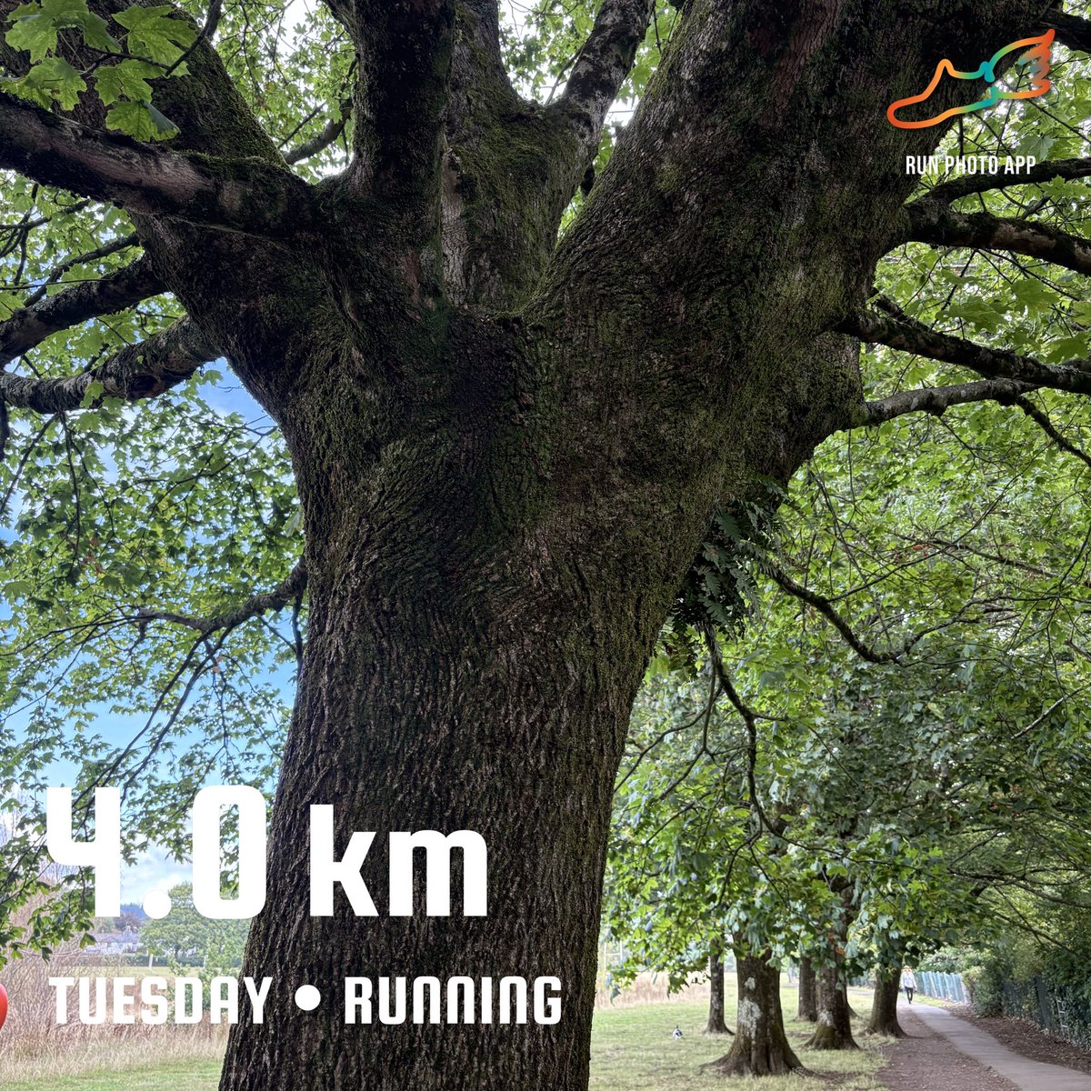 AWeltch's tweet photo. A slow plod to the park at lunchtime.
#oldmanrunning #cardiffrunning #rhiwbina https://t.co/uvFW5wrgLA