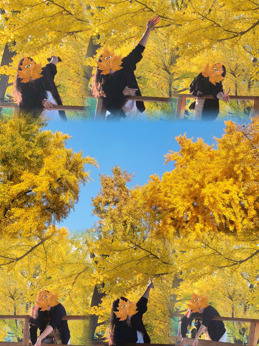 andreamons9's tweet photo. First fall breeze u0026 golden maple leaves  Perfect cozy afternoon to sip hot cider!， https://t.co/mTCoWBF766