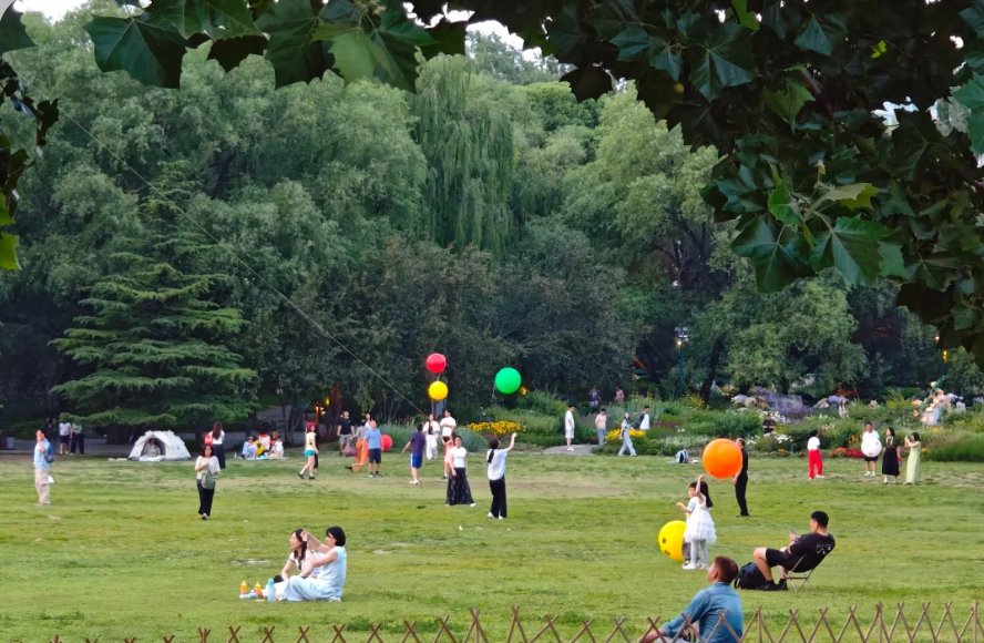 BeijingEvening's tweet photo. 海淀公园的中心草坪经过两个月的封闭养护正式开放
Time for a date with nature! On Sept. 1, the central lawn of Haidian Park in Beijing officially opened after two months of closed maintenance.
#BeijingParks #Haidian https://t.co/Ylllomk1Iz