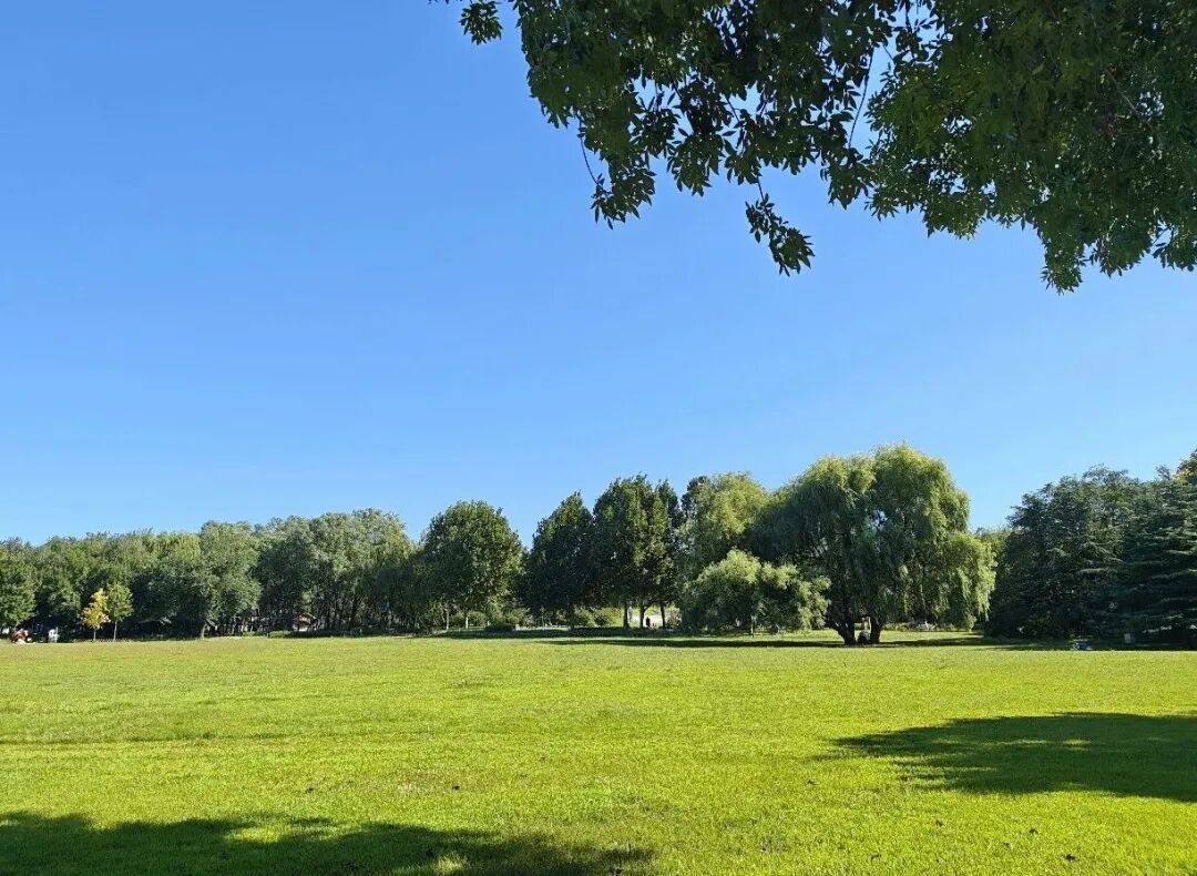 BeijingEvening's tweet photo. 海淀公园的中心草坪经过两个月的封闭养护正式开放
Time for a date with nature! On Sept. 1, the central lawn of Haidian Park in Beijing officially opened after two months of closed maintenance.
#BeijingParks #Haidian https://t.co/Ylllomk1Iz
