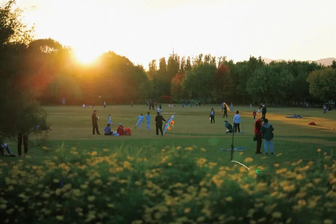 BeijingEvening's tweet photo. 海淀公园的中心草坪经过两个月的封闭养护正式开放
Time for a date with nature! On Sept. 1, the central lawn of Haidian Park in Beijing officially opened after two months of closed maintenance.
#BeijingParks #Haidian https://t.co/Ylllomk1Iz