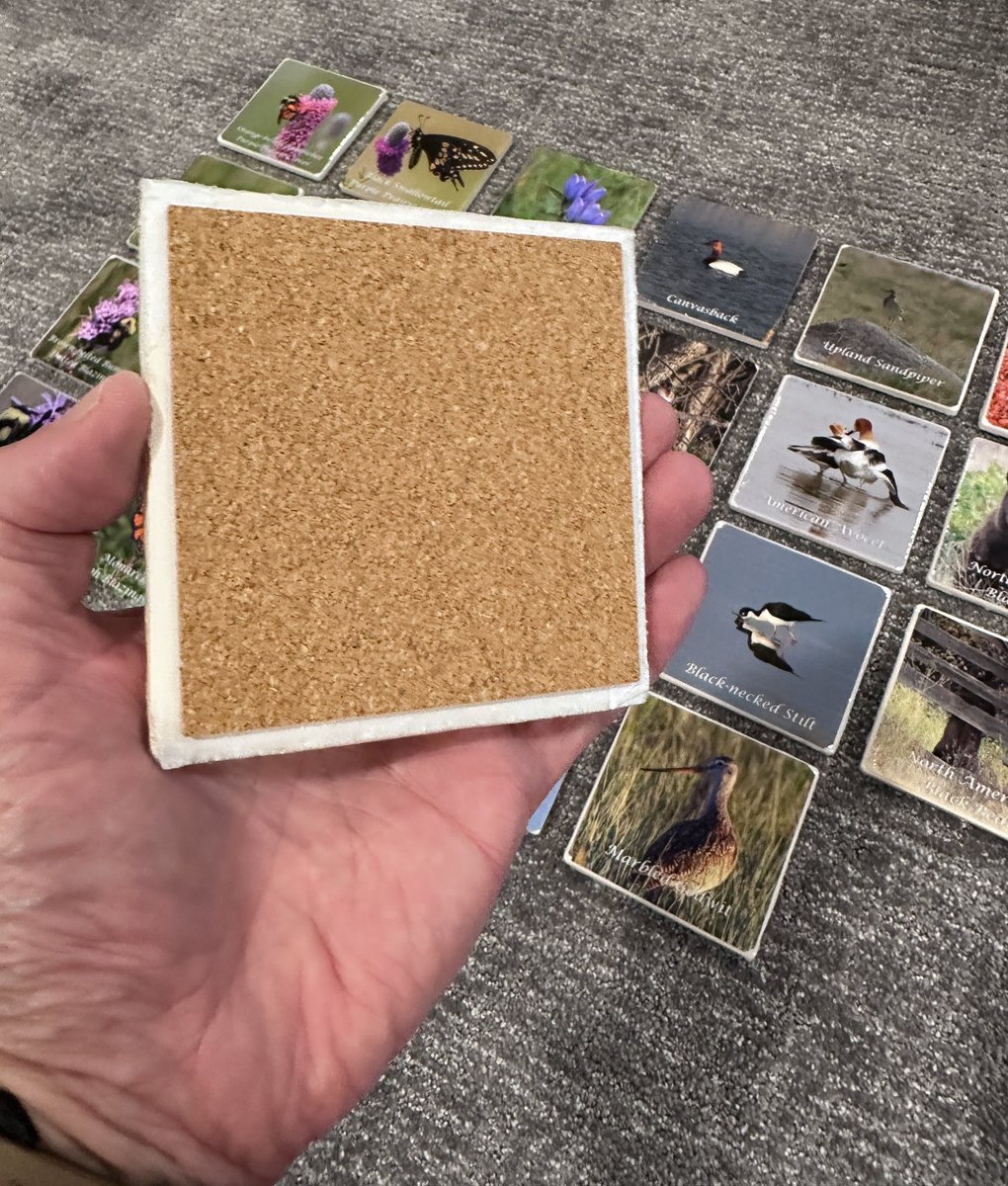 prairieguy2016's tweet photo. Getting back to work. Creating some ceramic coasters.
https://t.co/fEEXwHTzbh #photography #nature #wildlife #prairie #northdakota https://t.co/eZWdSVdS06