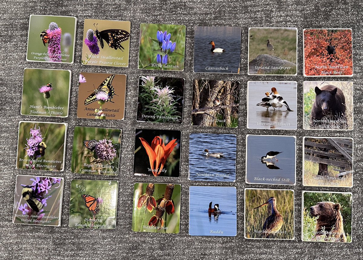 prairieguy2016's tweet photo. Getting back to work. Creating some ceramic coasters.
https://t.co/fEEXwHTzbh #photography #nature #wildlife #prairie #northdakota https://t.co/eZWdSVdS06