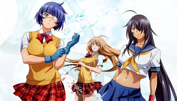 Animeroyalings's tweet photo. Yes, it is possible irl. 

The anime is called Battle Vixens btw. https://t.co/S5RPcLYW2P