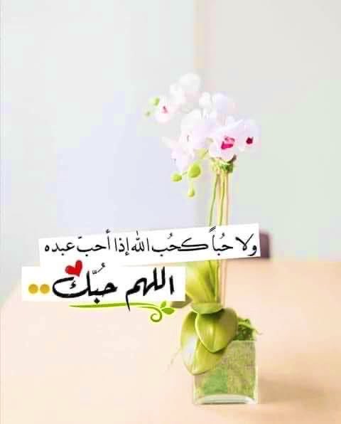 omhazem1956's tweet photo. لو أحبًّك الله : 
أَحبتكَ السماء والأرض وساكنوها.. ورضِيت عنك الحياة .. 
وسكنتِ الجنةُ قلبَك قبل أن تدخلها ... وهُديت وكفيت ووقيت .. 
ونُحِّي عنك الشقاءُ .. وفارقتك الأحزان..! 
. https://t.co/GAwx67ohlc