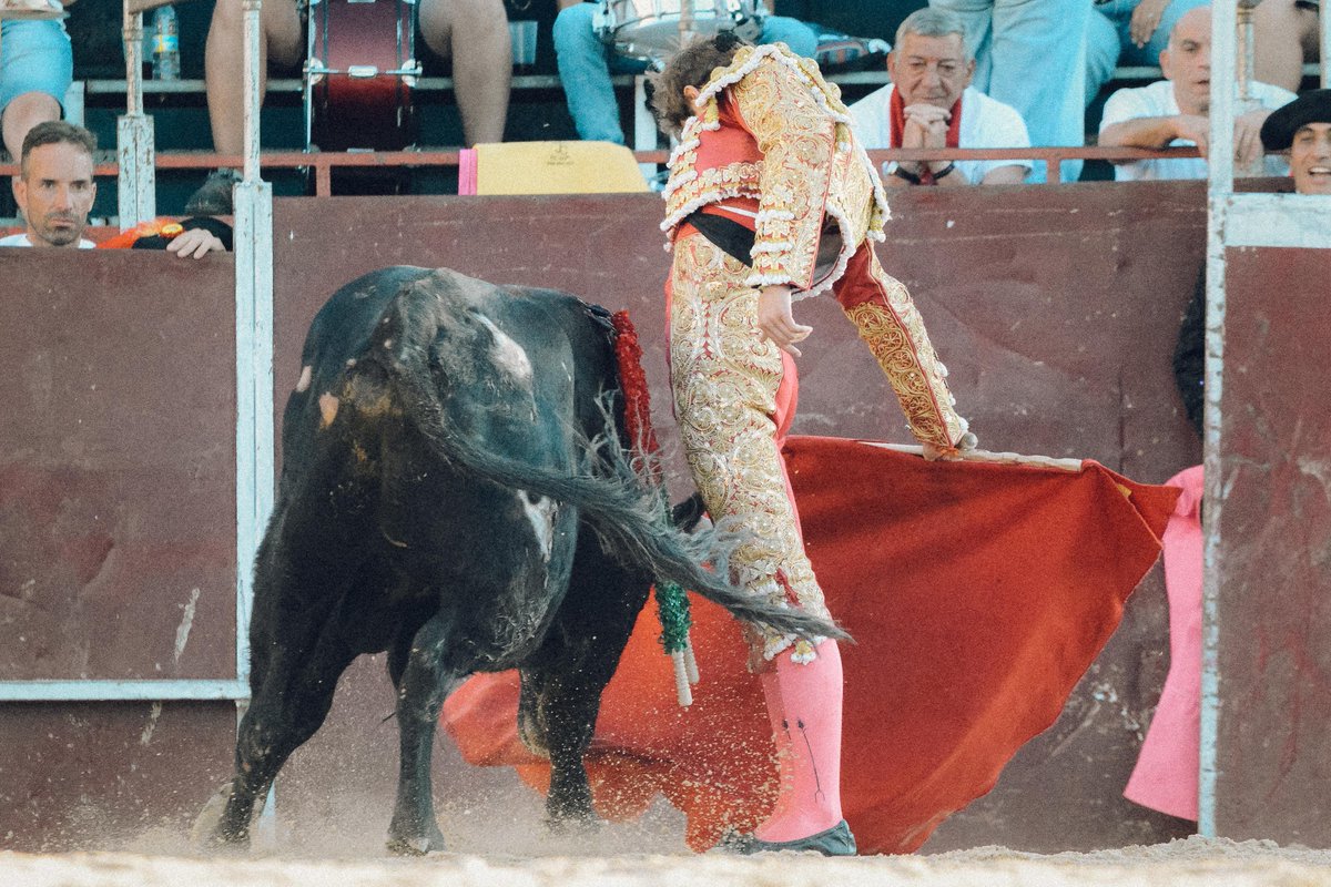 JavierTBombita's tweet photo. ¡4 orejas a la Novillada de Pedraza de Yeltes en Sepúlveda!
¡Pasión por el Toreo! https://t.co/n0303Yrra2