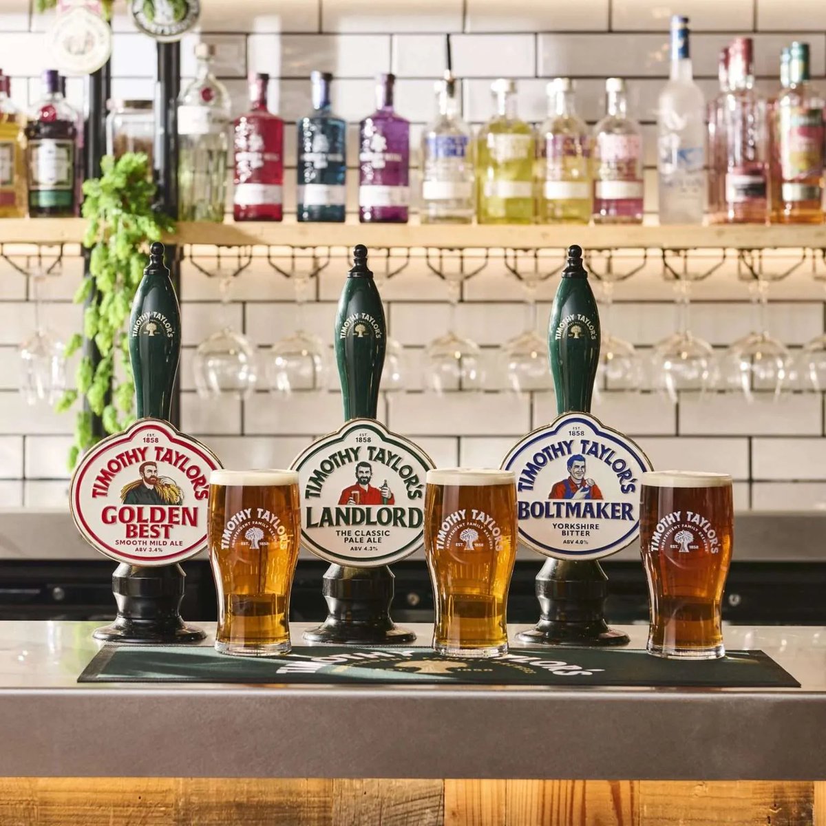 Gefera_'s tweet photo. I’d like to report a hate crime

they’ve changed the @TimothyTaylors pump badges https://t.co/OXGzJb6uZ1