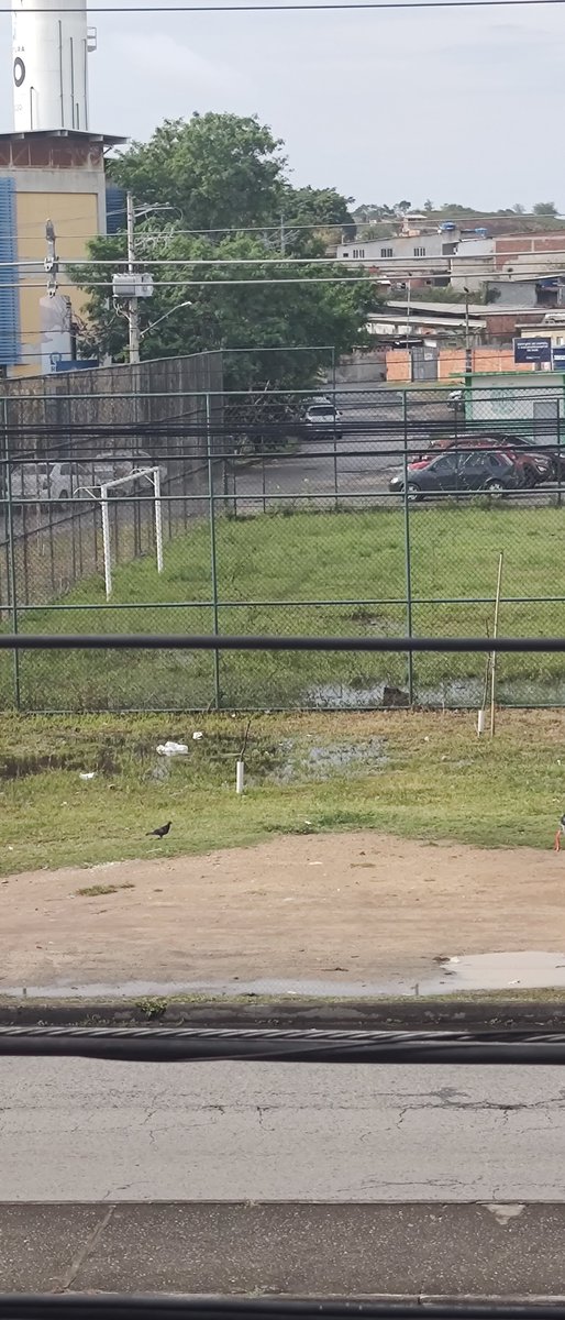 RCristianoSCorr's tweet photo. @Prefeitura_Rio até quando vai ficar assim!?!? Na frente de um complexo escolar, um Campo de futebol que não tem jogo, uma caçamba de lixo que sempre transborda de lixo e água para todos os lados (poça) #manutençao URGENTE!!!! https://t.co/96NIdXiLCM