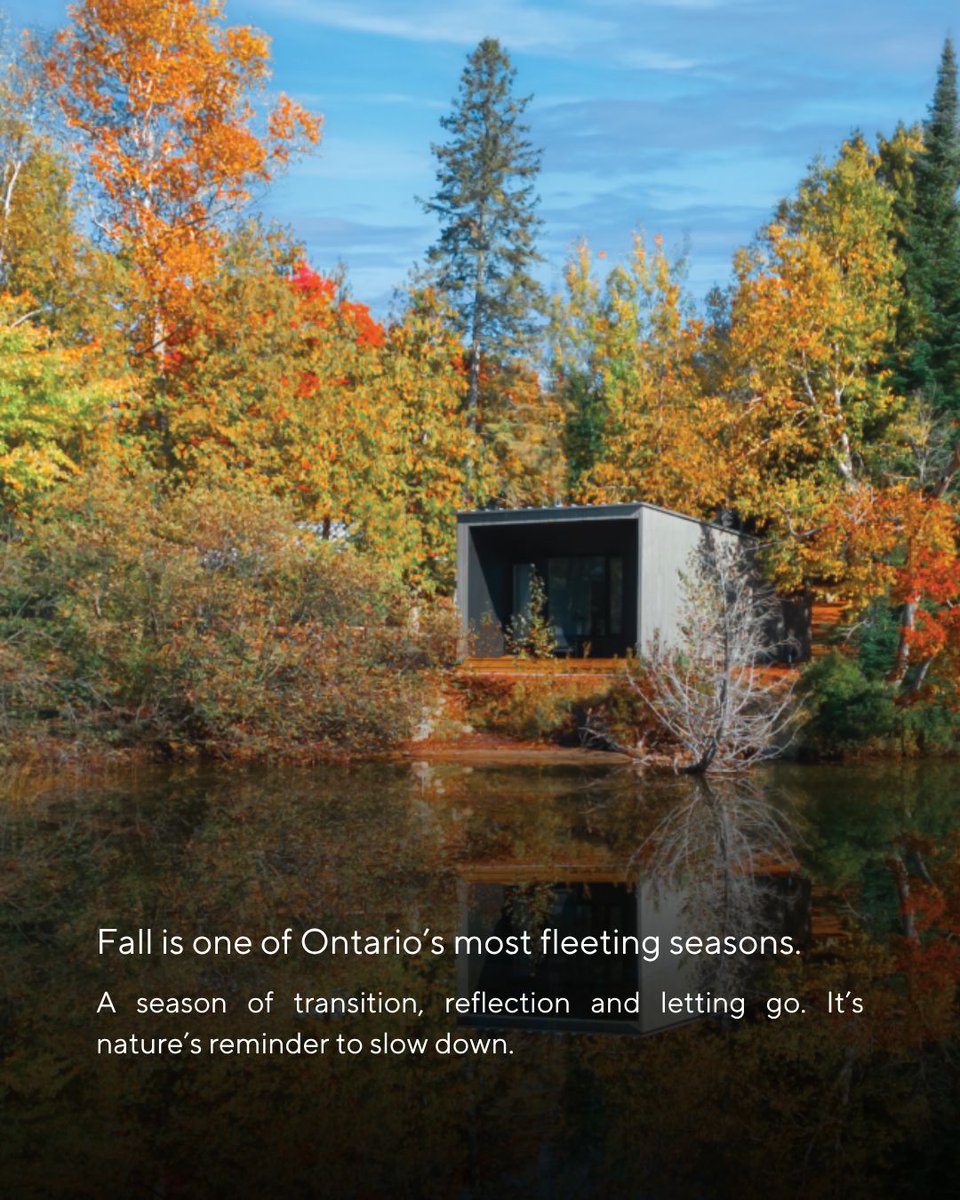 dimensionsreset's tweet photo. As the seasons shift, reset alongside. Embrace Canada’s great outdoors and Ontario’s most colourful season with us. 
#dimensionsretreats https://t.co/a2rHsASuc4