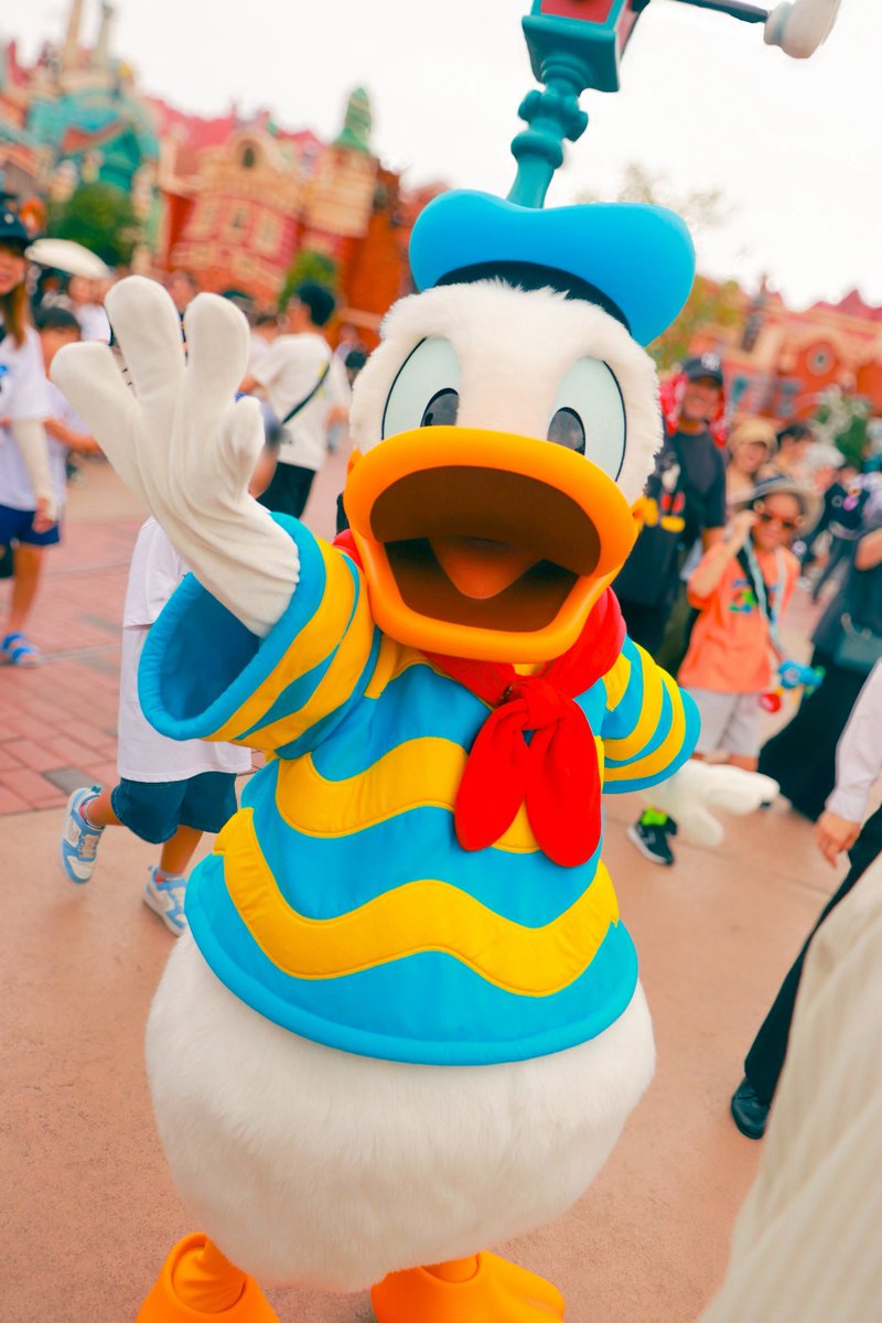 Haru03Disney's tweet photo. お見送りの時のドナちゃん可愛すぎる😍
この時の為に仕事頑張ったと言っても過言では無い🤣
 #ドナルドダック
 #トゥーンタウン
 #東京ディズニーランド https://t.co/aPbVlod5ti