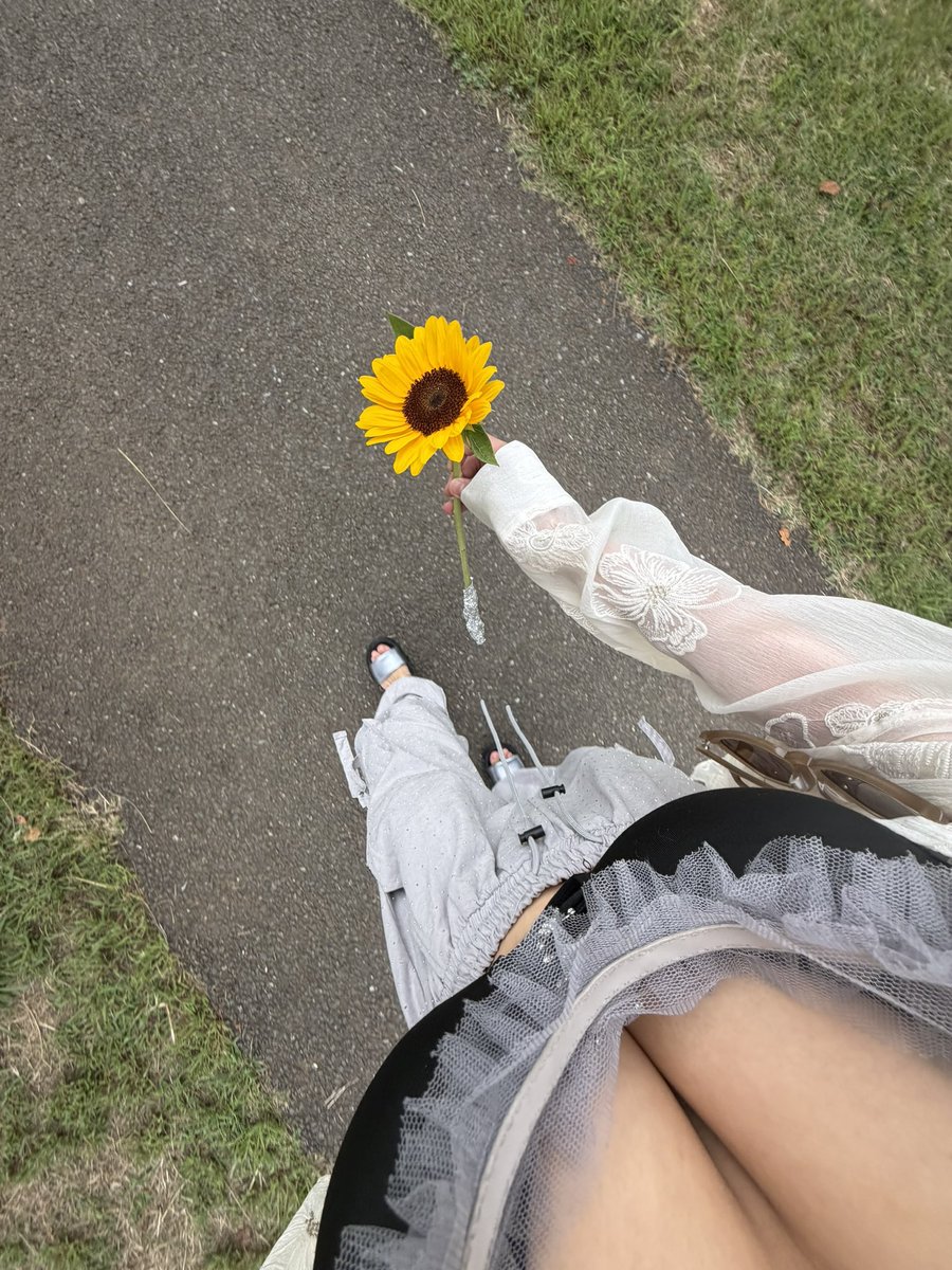_yu_8_8's tweet photo. 今日は機嫌がいいので向日葵🌻 https://t.co/MFBIP0NN2t