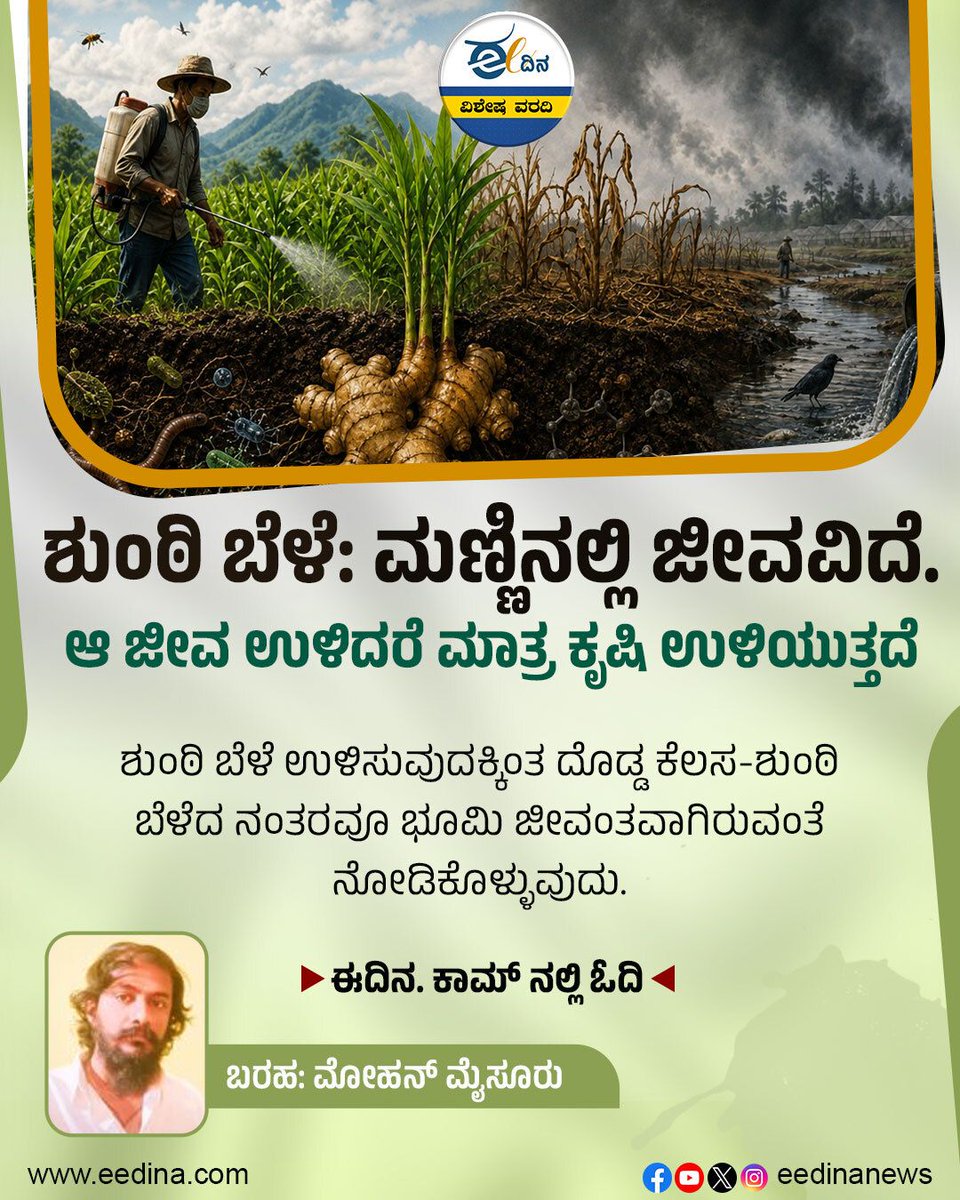 eedinanews's tweet photo. ಶುಂಠಿ ಬೆಳೆ: ಮಣ್ಣಿನಲ್ಲಿ ಜೀವವಿದೆ. ಆ ಜೀವ ಉಳಿದರೆ ಮಾತ್ರ ಕೃಷಿ ಉಳಿಯುತ್ತದೆ 

ಶುಂಠಿ ಬೆಳೆ ಉಳಿಸುವುದಕ್ಕಿಂತ ದೊಡ್ಡ ಕೆಲಸ-ಶುಂಠಿ ಬೆಳೆದ ನಂತರವೂ ಭೂಮಿ ಜೀವಂತವಾಗಿರುವಂತೆ ನೋಡಿಕೊಳ್ಳುವುದು.

#GingerFarming #SoilHealth #SustainableAgriculture #OrganicFarming #Farmers #AgriInnovation #SoilConservation #KarnatakaAgriculture #FarmersLife #KannadaNews