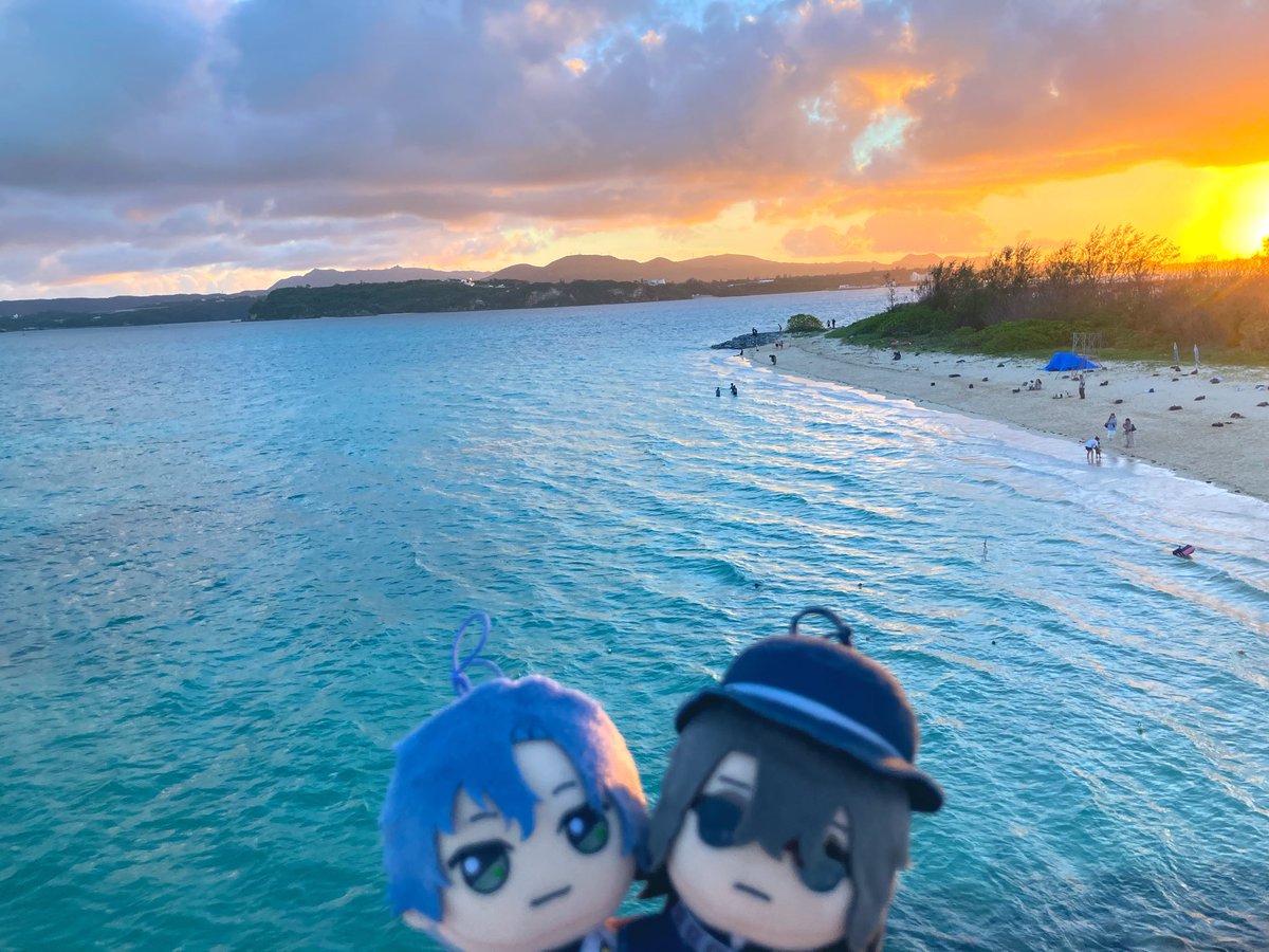 ms_teftef's tweet photo. ぬいも洗濯機に突っ込んじゃった笑笑 https://t.co/P47SHE1eis