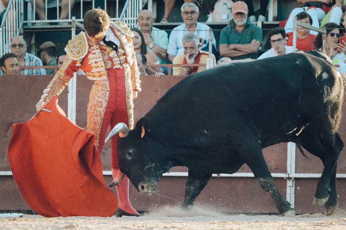 JavierTBombita's tweet photo. ¡4 orejas a la Novillada de Pedraza de Yeltes en Sepúlveda!
¡Pasión por el Toreo! https://t.co/n0303Yrra2