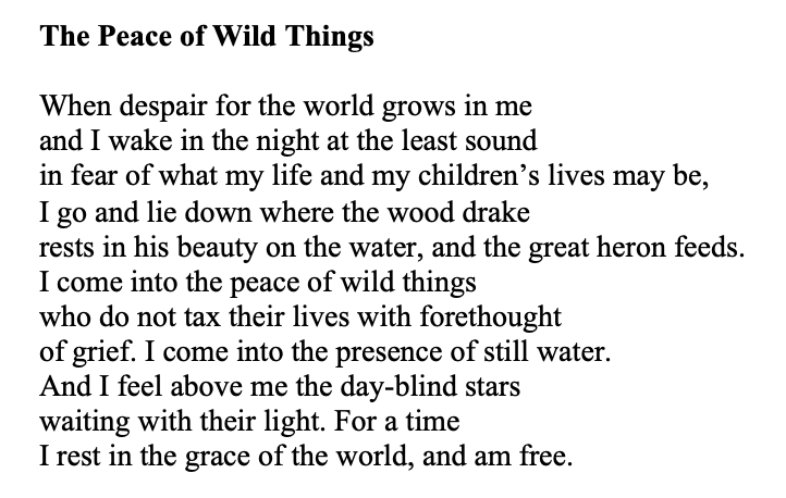 danielsusskind's tweet photo. Sad to see that Wendell Berry has died. His poem, 'The Peace of Wild Things', is one of my favourites. https://t.co/z2Tz87CLHS