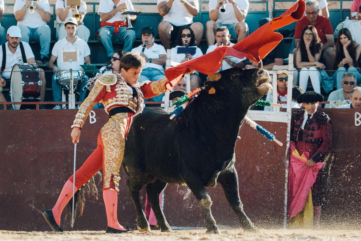 JavierTBombita's tweet photo. ¡4 orejas a la Novillada de Pedraza de Yeltes en Sepúlveda!
¡Pasión por el Toreo! https://t.co/n0303Yrra2