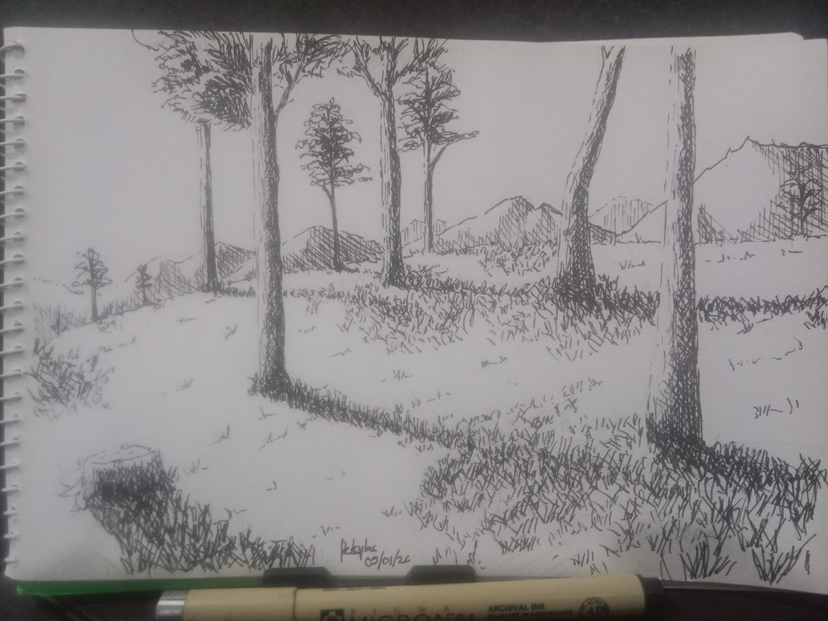Rekylas's tweet photo. Tried things a bit different today by using a thicker pen to get more contrast and emphasized the grass more where the shadows were cast
#dailyart https://t.co/alLCgUlY79