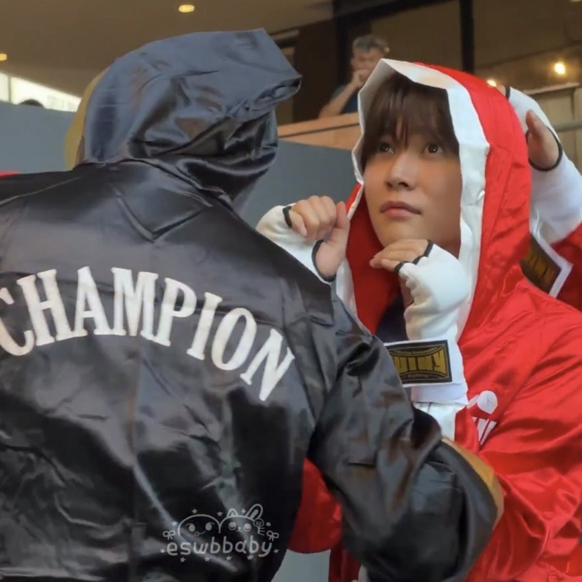 ses_cat's tweet photo. 🥊 https://t.co/4bAd6JtDd6