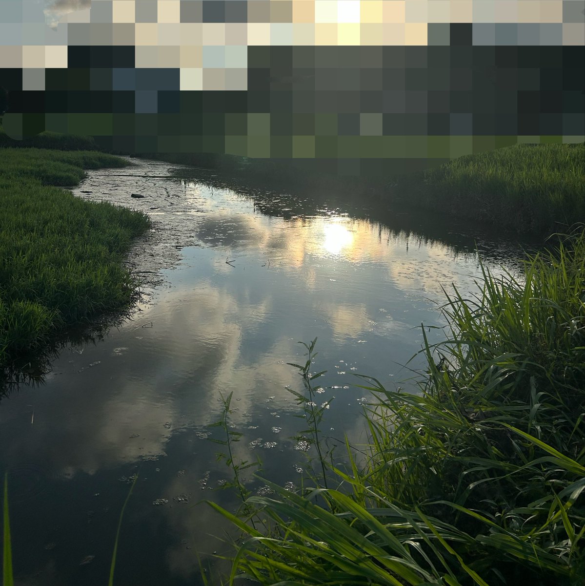 pistdm's tweet photo. 氷見のホーム釣りスポット、豪雨のあと気になって行ったらなんと干上がってました😅 https://t.co/9wczaSkUdP