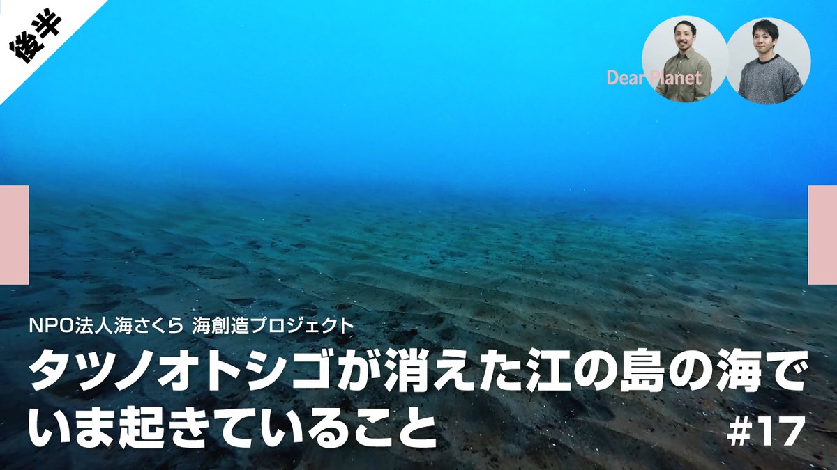 dearplanet_2's tweet photo. 1月、アマモは見つからなかった。
"海の春"の3月、もう一度あの海へ潜りました。

結果は——またゼロ。ヘドロだらけの海底。
それでも、古澤さんは次の一手へ。

タツノオトシゴが消えた江の島の、��きの話【後編】🌊

▶ https://t.co/JMQ1nGA6NB

#海さくら #江の島 #ディアプラネット https://t.co/JlCrD9AuUr