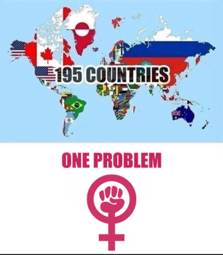 fuckfeminism_03's tweet photo. 195 countries
1 problem https://t.co/HmDEjz5ItB