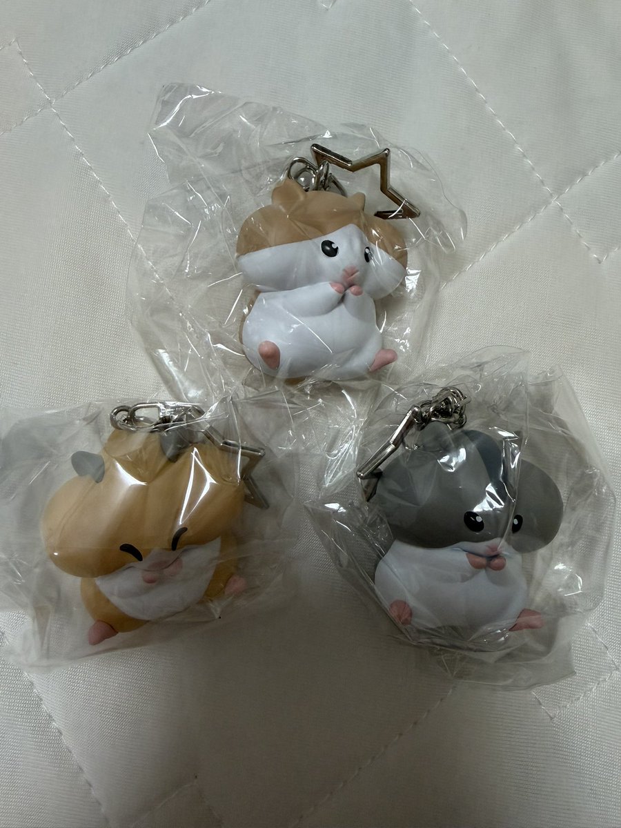 sugagustd03's tweet photo. りんりんよくばりハムスター ガチャ 交換

【譲】ゴールデン、グレー、ブラウン

【求】ホワイト、ブチ

郵送で交換いたします。 https://t.co/KOXPCpNrzM