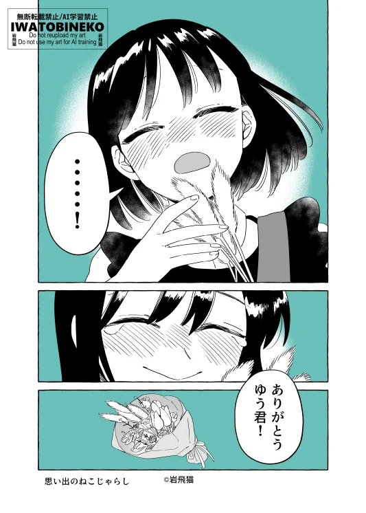 ⭐︎^_^⭐︎　岩盤浴ロンヴェロップレショーファント(説明書付き)