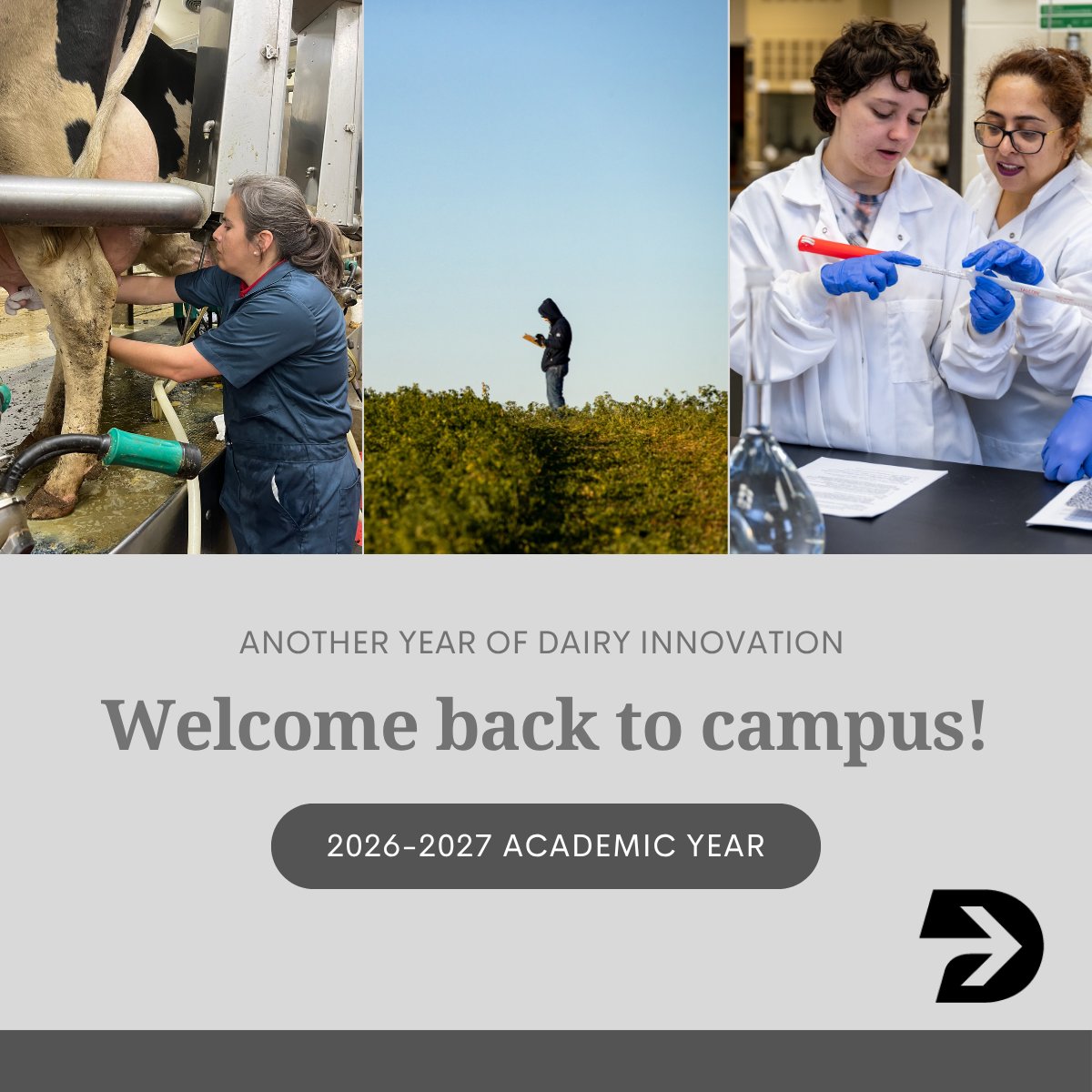 dairy_hub's tweet photo. Welcome back to campus!

From the the lab to farm, research starts with curiosity. Here’s to a new year of seeking out innovations 😄🐄 https://t.co/De3e1AEESi
