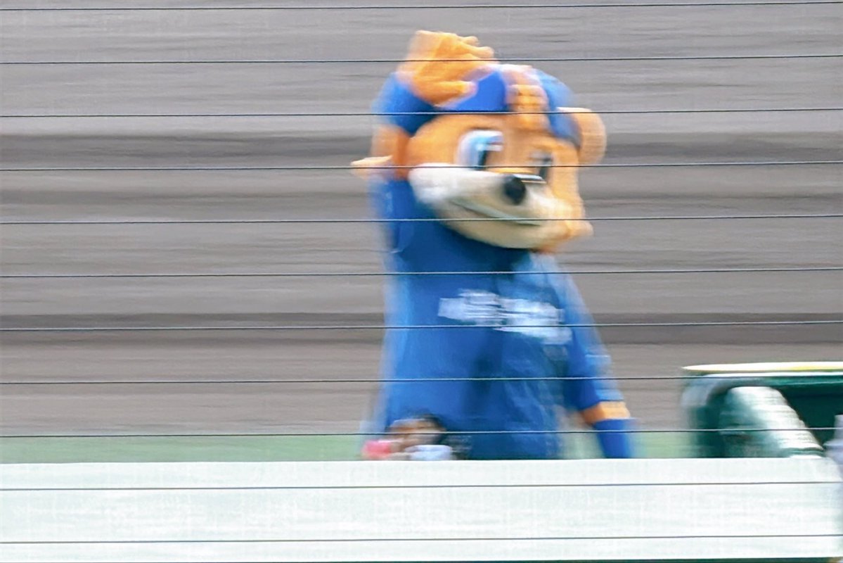 82___k_'s tweet photo. カビーちゃん❣️🐻
※わざとこの写真選びました。 https://t.co/j1BMF0UClN