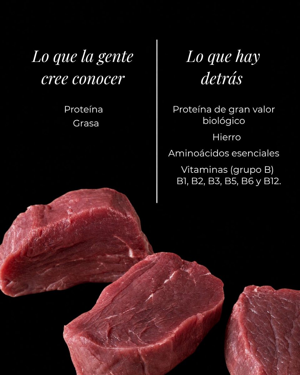 TerneraGallega's tweet photo. Nuestra carne destaca por su completo perfil nutricional.☝🏼

A su alto contenido en proteínas se suman vitaminas y minerales esenciales. 💯

Y, además, está deliciosa. 😍 https://t.co/G1xYkmgxMq