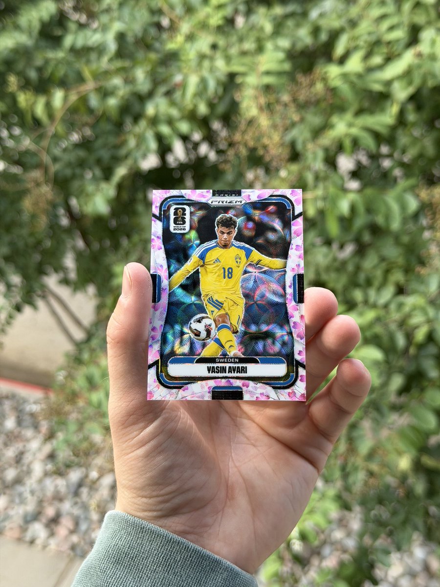 flynryan8's tweet photo. This weeks mail day https://t.co/CGsY8QIU7N